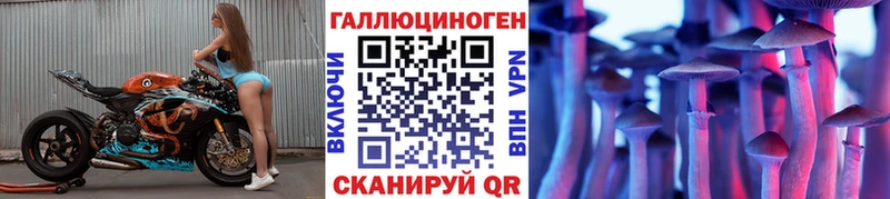 даркнет сайт  маркетплейс как зайти  Псилоцибиновые грибы мухоморы  Красный Холм 
